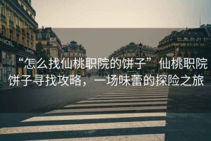 “怎么找仙桃職院的餅子”仙桃職院餅子尋找攻略，一場(chǎng)味蕾的探險(xiǎn)之旅