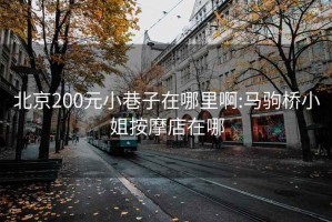 北京200元小巷子在哪里啊:馬駒橋小姐按摩店在哪