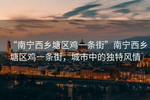 “南寧西鄉(xiāng)塘區(qū)雞一條街”南寧西鄉(xiāng)塘區(qū)雞一條街，城市中的獨(dú)特風(fēng)情