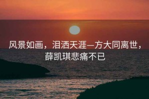 風(fēng)景如畫，淚灑天涯—方大同離世，薛凱琪悲痛不已