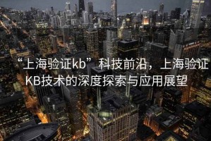 “上海驗(yàn)證kb”科技前沿，上海驗(yàn)證KB技術(shù)的深度探索與應(yīng)用展望