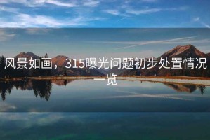 風(fēng)景如畫，315曝光問題初步處置情況一覽