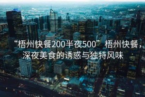“梧州快餐200半夜500”梧州快餐，深夜美食的誘惑與獨特風(fēng)味