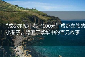 “成都東站小巷子100元”成都東站的小巷子，隱匿于繁華中的百元故事