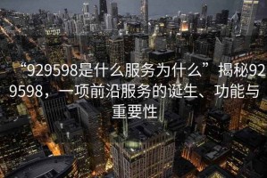 “929598是什么服務為什么”揭秘929598，一項前沿服務的誕生、功能與重要性