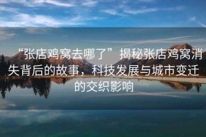 “張店雞窩去哪了”揭秘張店雞窩消失背后的故事，科技發(fā)展與城市變遷的交織影響