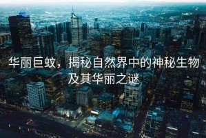 華麗巨蚊，揭秘自然界中的神秘生物及其華麗之謎