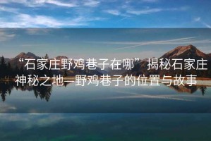 “石家莊野雞巷子在哪”揭秘石家莊神秘之地—野雞巷子的位置與故事