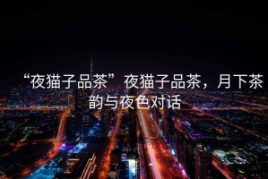 “夜貓子品茶”夜貓子品茶，月下茶韻與夜色對(duì)話(huà)