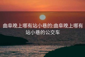 曲阜晚上哪有站小巷的:曲阜晚上哪有站小巷的公交車