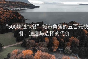 “500塊錢(qián)快餐”城市角落的五百元快餐，速度與選擇的代價(jià)
