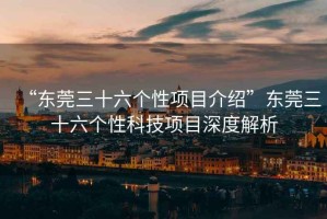 “東莞三十六個性項目介紹”東莞三十六個性科技項目深度解析