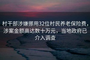 村干部涉嫌挪用32位村民養(yǎng)老保險費，涉案金額高達數(shù)十萬元，當?shù)卣呀槿胝{(diào)查