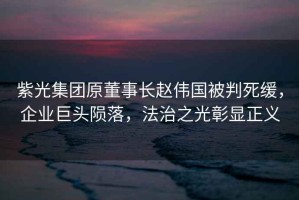 紫光集團原董事長趙偉國被判死緩，企業(yè)巨頭隕落，法治之光彰顯正義