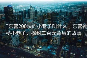 “東營200塊的小巷子叫什么”東營神秘小巷子，揭秘二百元背后的故事