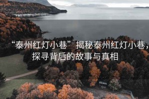 “泰州紅燈小巷”揭秘泰州紅燈小巷，探尋背后的故事與真相