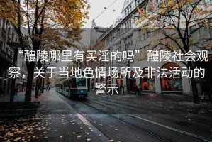 “醴陵哪里有買淫的嗎”醴陵社會觀察，關于當地色情場所及非法活動的警示