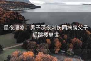 星夜凄涼，男子深夜刺傷同病房父子后跳樓離世