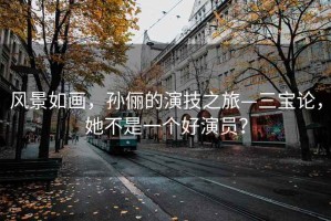 風(fēng)景如畫(huà)，孫儷的演技之旅—三寶論，她不是一個(gè)好演員？