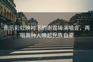 雨后彩虹映襯下的謝霆鋒演唱會(huì)，再唱黃種人喚起民族自豪