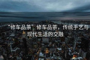 “修車品茶”修車品茶，傳統(tǒng)手藝與現(xiàn)代生活的交融