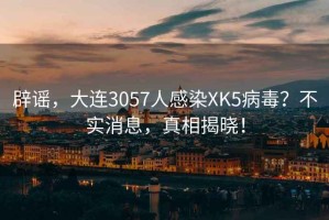辟謠，大連3057人感染XK5病毒？不實(shí)消息，真相揭曉！
