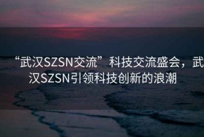 “武漢SZSN交流”科技交流盛會(huì)，武漢SZSN引領(lǐng)科技創(chuàng)新的浪潮