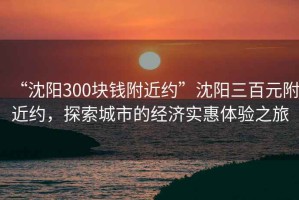 “沈陽(yáng)300塊錢(qián)附近約”沈陽(yáng)三百元附近約，探索城市的經(jīng)濟(jì)實(shí)惠體驗(yàn)之旅