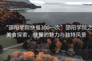 “邵陽(yáng)學(xué)院快餐300一次”邵陽(yáng)學(xué)院之美食探索，快餐的魅力與獨(dú)特風(fēng)景