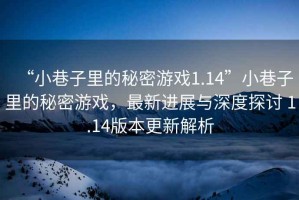 “小巷子里的秘密游戲1.14”小巷子里的秘密游戲，最新進(jìn)展與深度探討 1.14版本更新解析