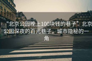 “北京公園晚上100塊錢的巷子”北京公園深夜的百元巷子，城市隱秘的一角