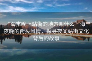 “海豐晚上站街的地方叫什么”海豐夜晚的街頭風(fēng)情，探尋夜間站街文化背后的故事