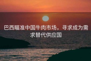 巴西瞄準(zhǔn)中國牛肉市場，尋求成為需求替代供應(yīng)國