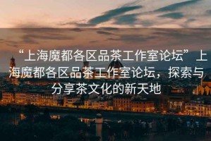 “上海魔都各區(qū)品茶工作室論壇”上海魔都各區(qū)品茶工作室論壇，探索與分享茶文化的新天地