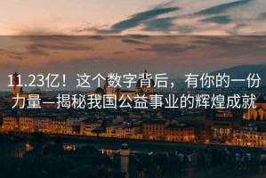 11.23億！這個數(shù)字背后，有你的一份力量—揭秘我國公益事業(yè)的輝煌成就