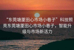 “東莞塘廈田心市場(chǎng)小巷子”科技照亮東莞塘廈田心市場(chǎng)小巷子，智能升級(jí)與市場(chǎng)新活力