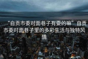 “自貢市委對面巷子有耍的嘛”自貢市委對面巷子里的多彩生活與獨特風情