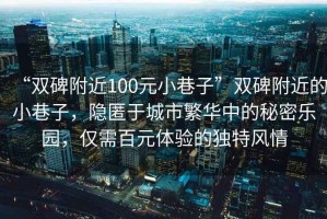 “雙碑附近100元小巷子”雙碑附近的小巷子，隱匿于城市繁華中的秘密樂園，僅需百元體驗的獨特風(fēng)情