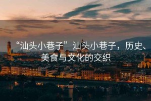 “汕頭小巷子”汕頭小巷子，歷史、美食與文化的交織