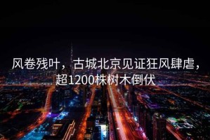 風卷殘葉，古城北京見證狂風肆虐，超1200株樹木倒伏