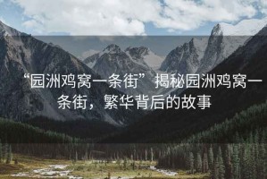 “園洲雞窩一條街”揭秘園洲雞窩一條街，繁華背后的故事