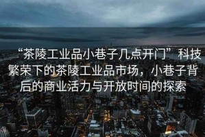 “茶陵工業(yè)品小巷子幾點開門”科技繁榮下的茶陵工業(yè)品市場，小巷子背后的商業(yè)活力與開放時間的探索