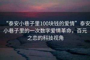 “泰安小巷子里100塊錢的愛情”泰安小巷子里的一次數(shù)字愛情革命，百元之戀的科技視角