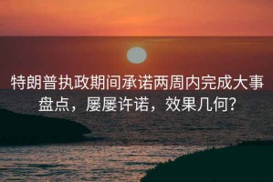 特朗普執(zhí)政期間承諾兩周內(nèi)完成大事盤點(diǎn)，屢屢許諾，效果幾何？