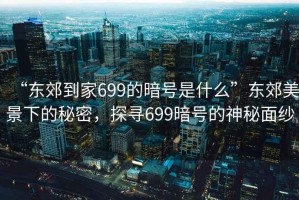“東郊到家699的暗號是什么”東郊美景下的秘密，探尋699暗號的神秘面紗