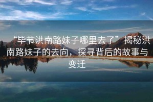 “畢節(jié)洪南路妹子哪里去了”揭秘洪南路妹子的去向，探尋背后的故事與變遷