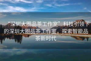 “深圳大圈品茶工作室”科技引領(lǐng)下的深圳大圈品茶工作室，探索智能品茶新時代