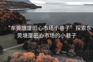 “東莞塘廈田心市場小巷子”探索東莞塘廈田心市場的小巷子