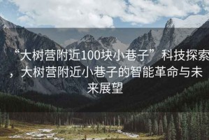 “大樹營附近100塊小巷子”科技探索，大樹營附近小巷子的智能革命與未來展望