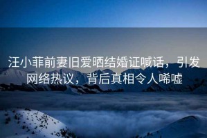 汪小菲前妻舊愛曬結(jié)婚證喊話，引發(fā)網(wǎng)絡(luò)熱議，背后真相令人唏噓